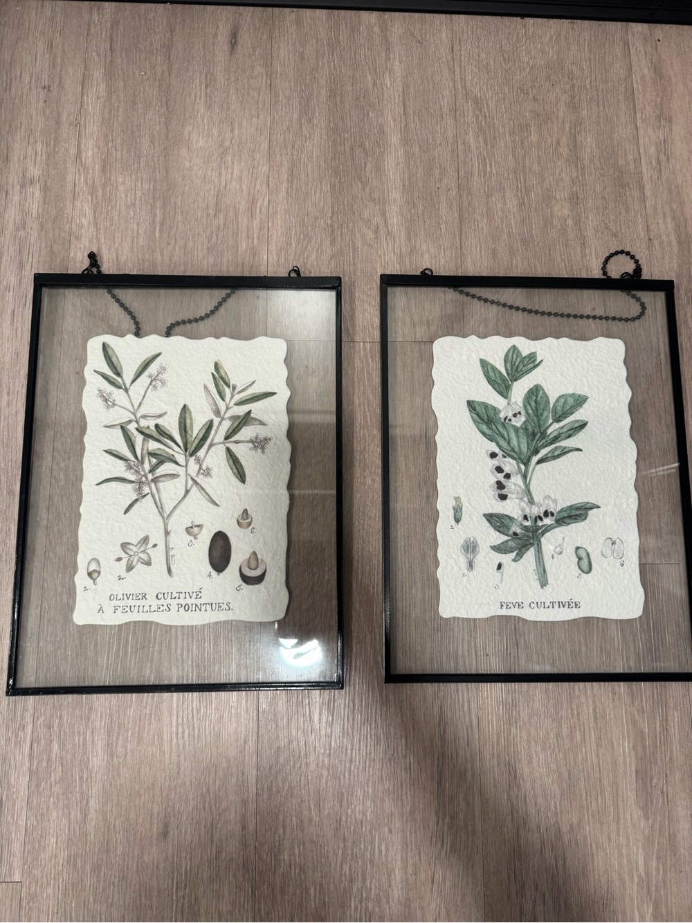 Botanical Wall Art Set in Green - Home Accents
